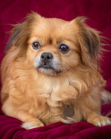 Foster Tia Maria-7954