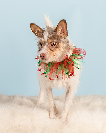 Foster Reagan-4954