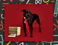 GCSPCA Calendar- September