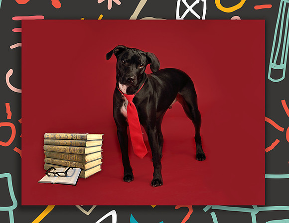 GCSPCA Calendar- September