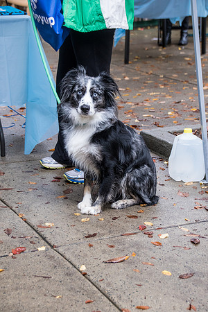 PuppyUp-1214