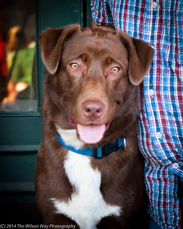Foster Coco-8791