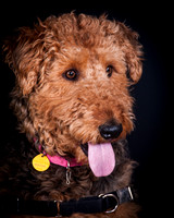 Dixie Lou-5631
