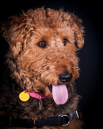 Dixie Lou-5631