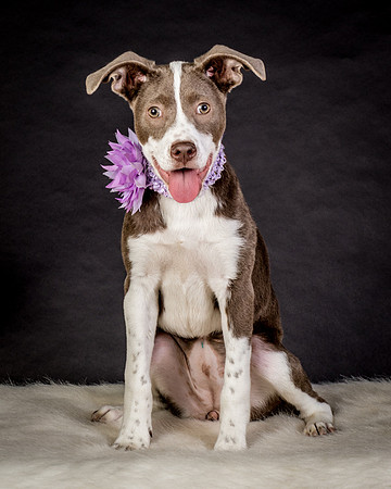 Foster Ari-8603