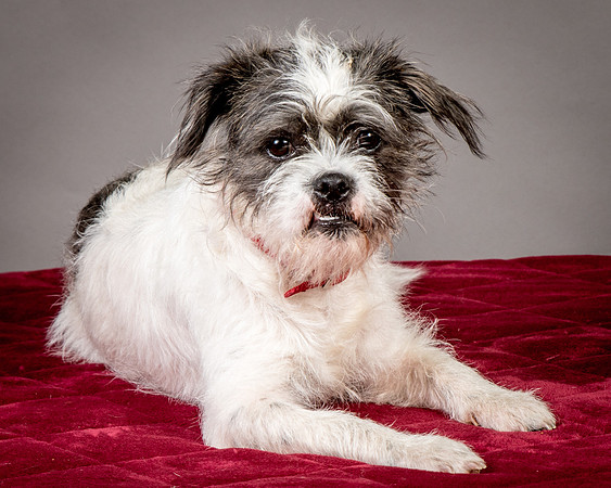 Foster Leeza-2758