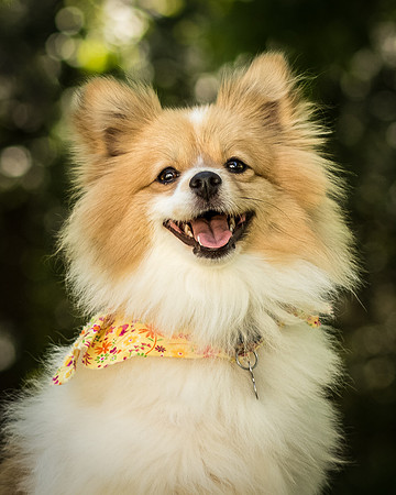 Foster Sydney-7530