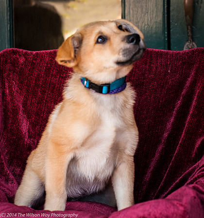 Foster Luca-9043