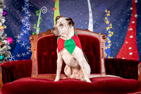 Foster Sylvester-0938