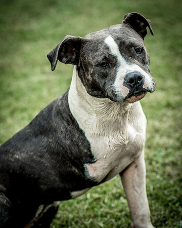 Foster Maya-0381