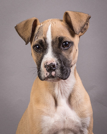 Foster Barnabas-4481