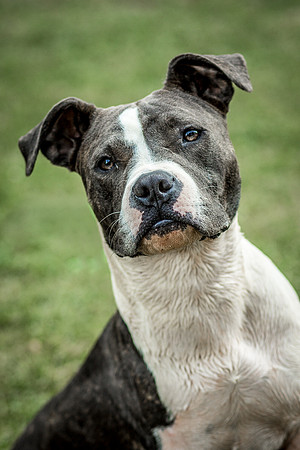 Foster Maya-0388