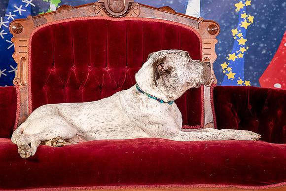 Foster Sylvester-0977