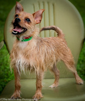 Foster Harry-3609