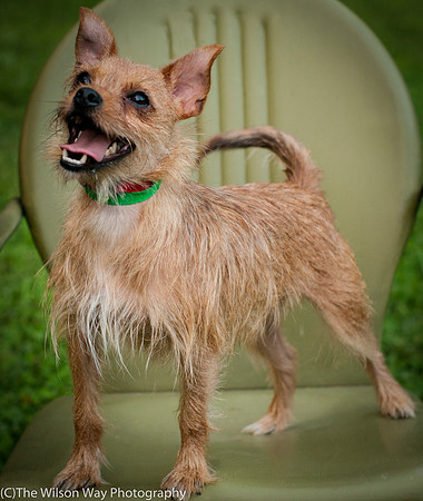 Foster Harry-3609