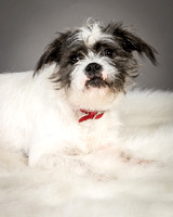 Foster Leeza-2553