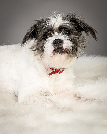 Foster Leeza-2553