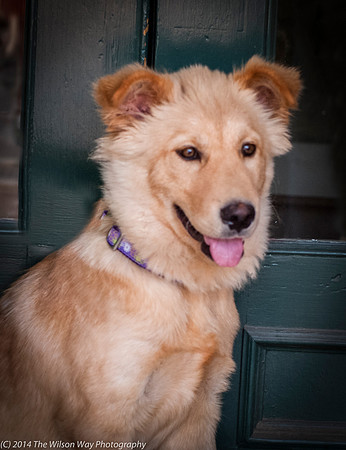 Foster Presha-9442