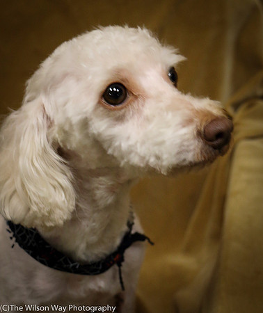 Foster Loretta-0243