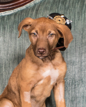 Foster Bronwyn-8331