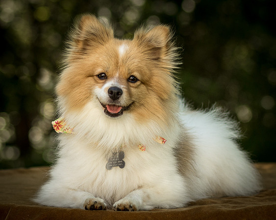 Foster Sydney-7651