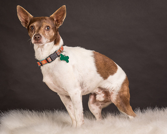 Foster Gus-0329