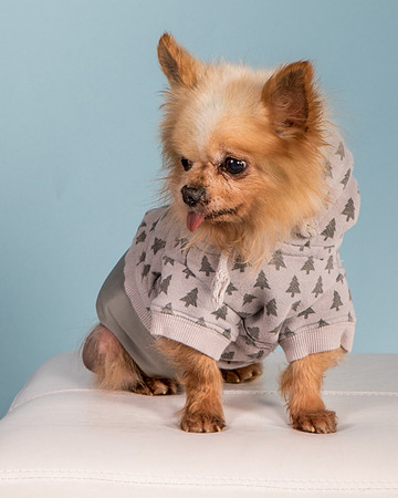 Foster Horace-0928