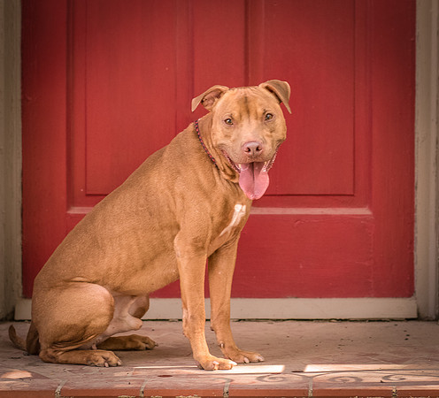 Foster Pablo-8104