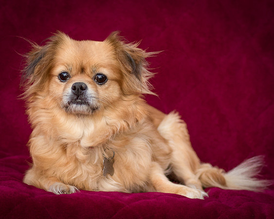 Foster Tia Maria-7922