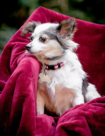 Foster Anouk-8711