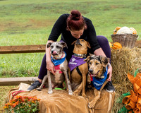 Dotson-8944