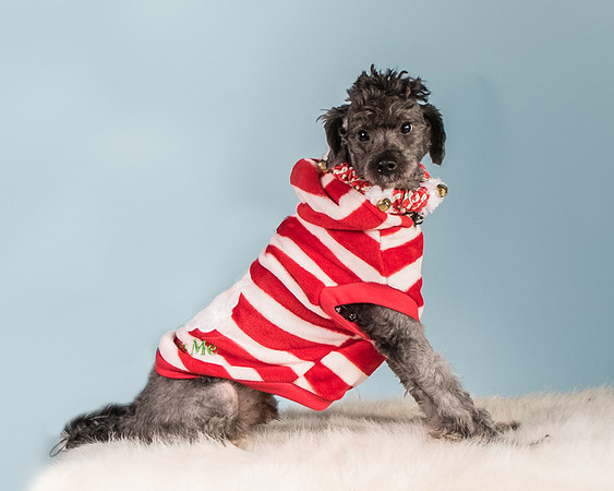 Foster Oakland-5567
