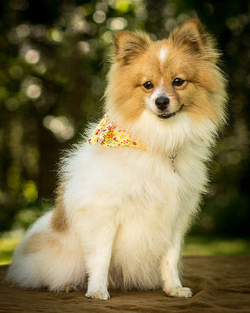 Foster Sydney-7535