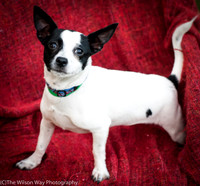 Foster Alfred-3709