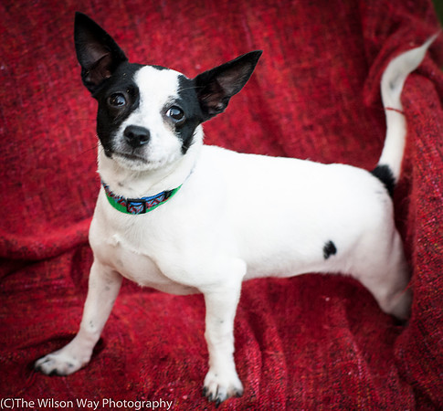 Foster Alfred-3709