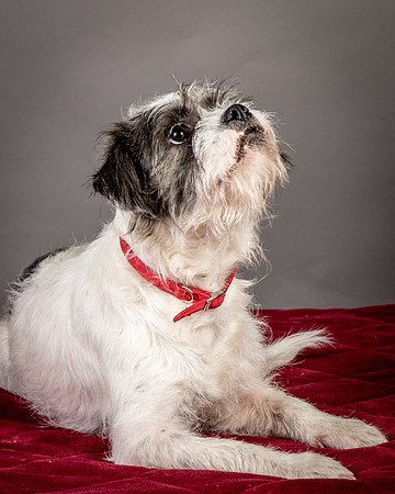 Foster Leeza-2684