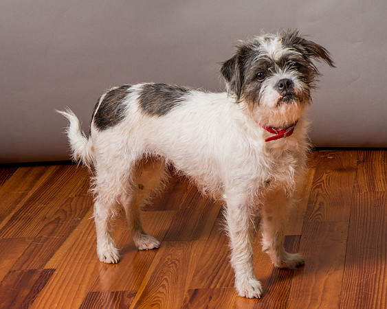 Foster Leeza-2845