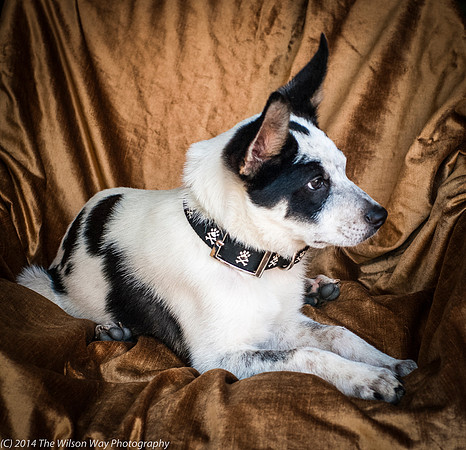 Foster Oliver-8953