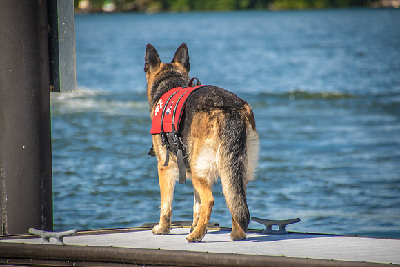Memorial Day Weekend-4981