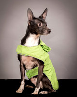 Foster Luc-9721