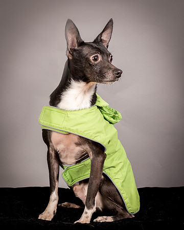 Foster Luc-9721