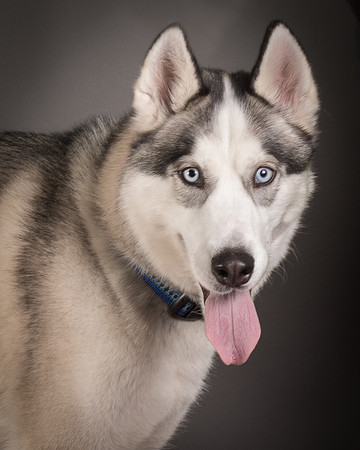 Foster Aspen-7624