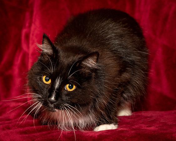Foster Hershey-9478