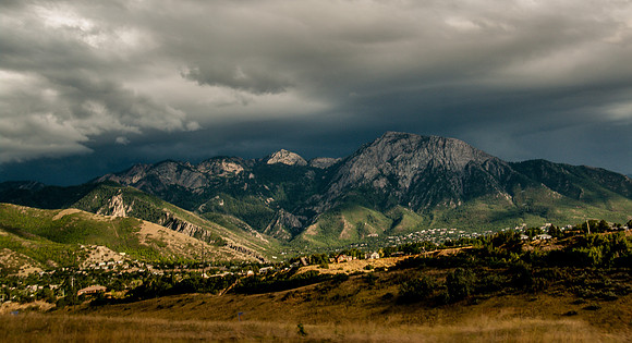 Landscape-7282