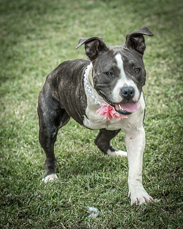 Foster Maya-0311