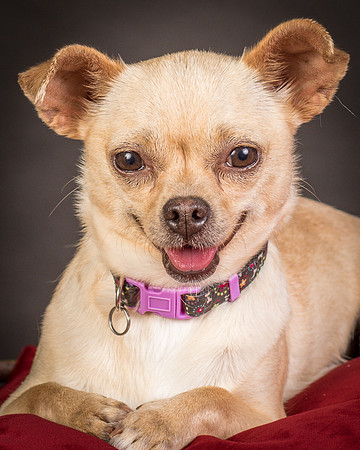 Foster Brielle-0119