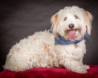 Foster Frosty-0540