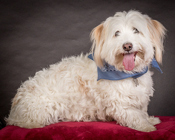 Foster Frosty-0540