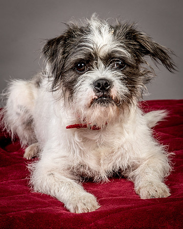Foster Leeza-2694