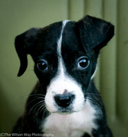 Foster Bennett-3865